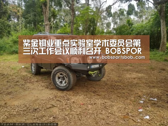 紫金铜业重点实验室学术委员会第三次工作会议顺利召开_BOBSPORTS(图3) BOB官方网站