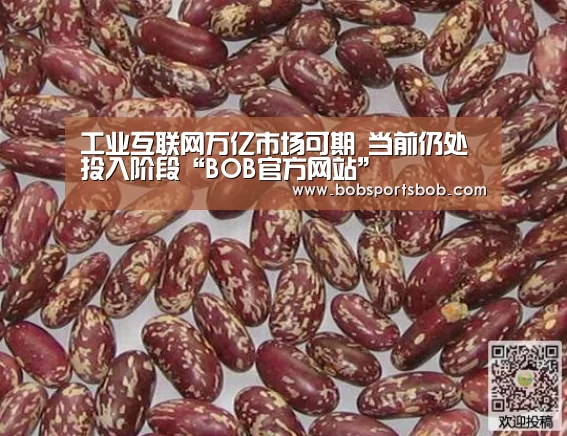 BOB体育