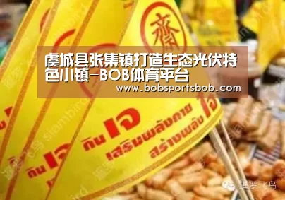 BOB体育平台