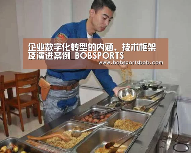 企业数字化转型的内涵、技术框架及演进案例_BOBSPORTS(图2)